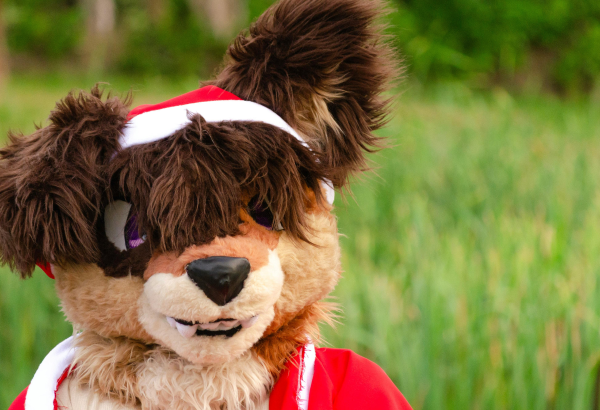 kemono Fursuit Custom Handmade | Fursuit Craft Pro