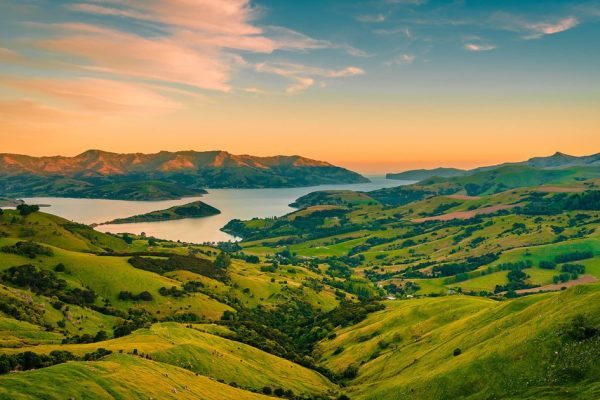 What Are the Most Popular New Zealand Tours for Couples and Honeymooners?