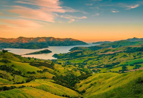 What Are the Most Popular New Zealand Tours for Couples and Honeymooners?