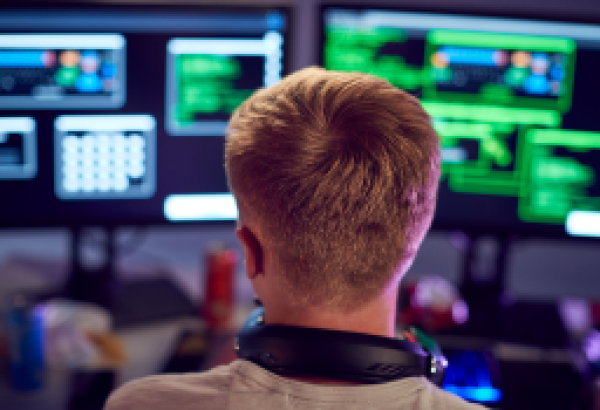 What Happened to Darknet Desires?
