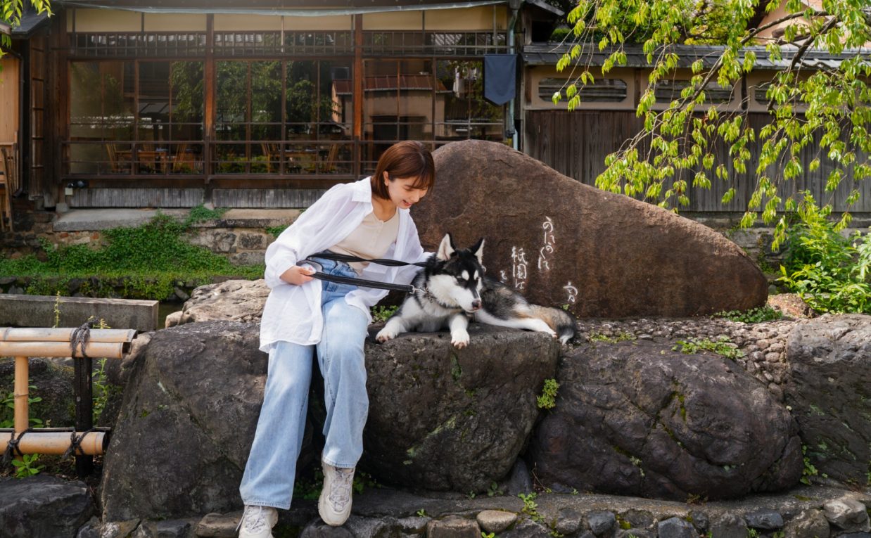 プロの動物プロダクションが支える安心の撮影環境