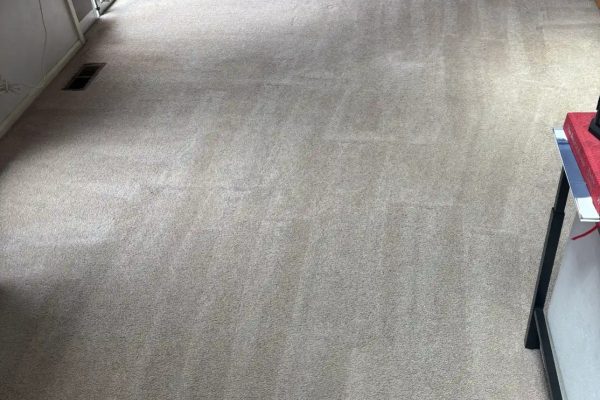 Why Broomfield's 1960s Housing Stock Demands Specialized Carpet and Floor Care