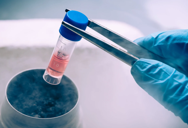 Can Stem Cell Therapy Improve Daily Activities?