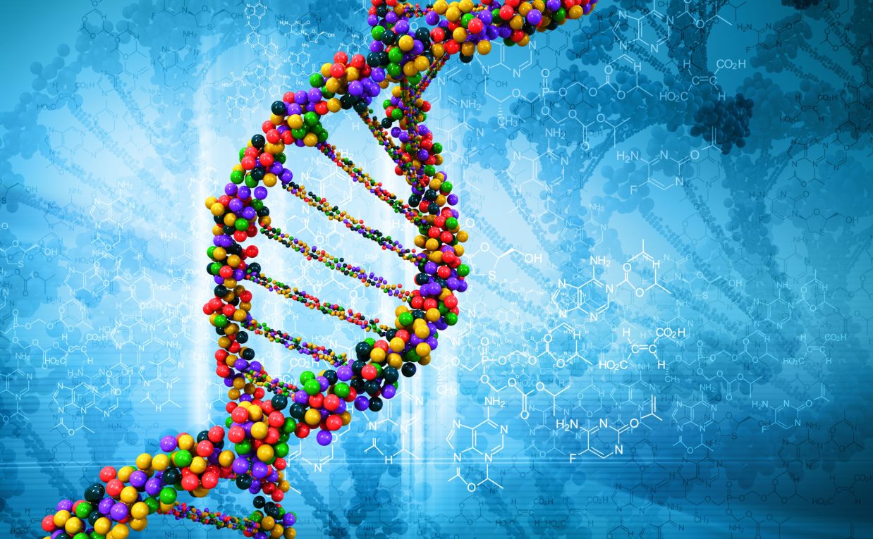 Why Consider DNA Nutrition Test in Dubai Before Dieting?