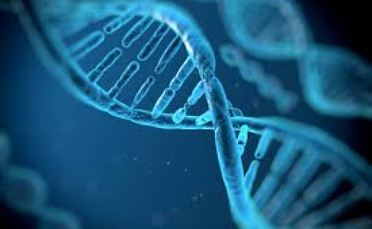 How a DNA Nutrition Test Can Personalize Your Diet Plan