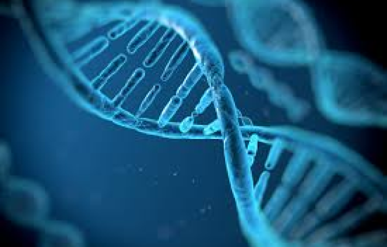 How a DNA Nutrition Test Can Personalize Your Diet Plan
