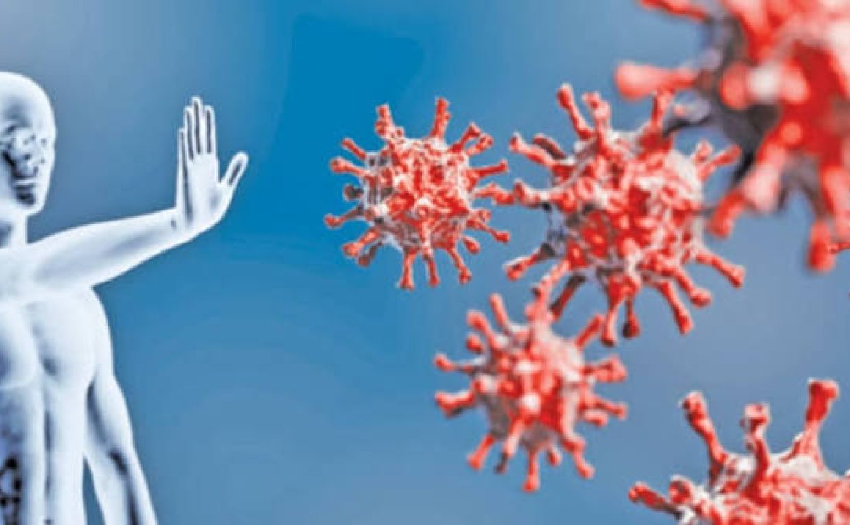 How Immune System Boost Supports Body Functions