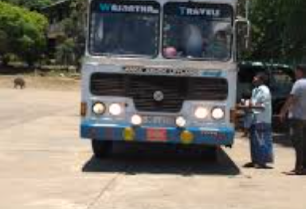Wasatha Travel: