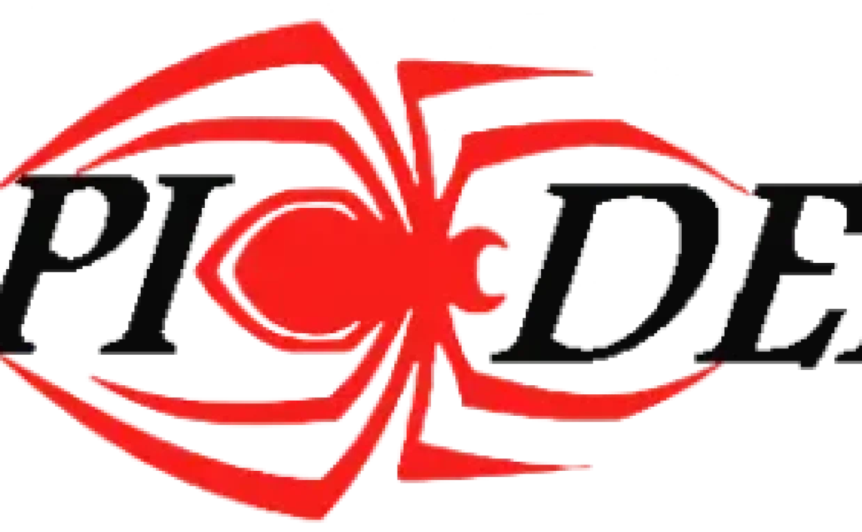 Spider Worldwide: The Rise of a Distinctive Streetwear Brand